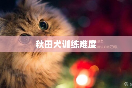 秋田犬訓練難度