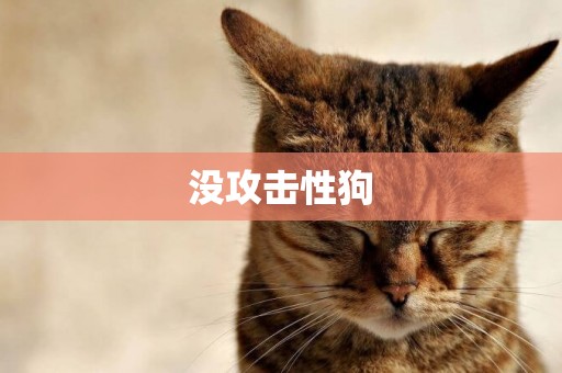 沒攻擊性狗