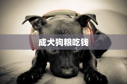 成犬狗糧吃錢