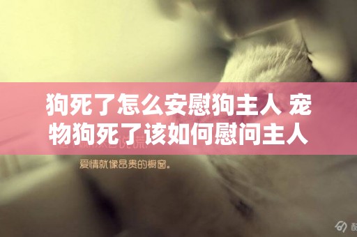 狗死了怎么安慰狗主人 寵物狗死了該如何慰問主人