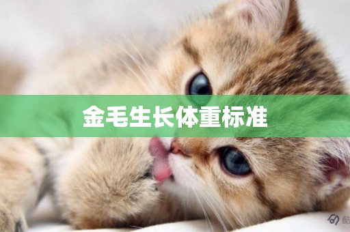 金毛生長體重標準