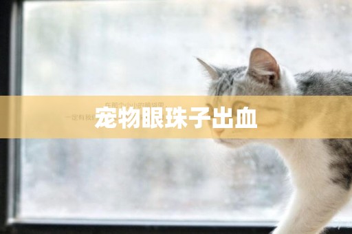 寵物眼珠子出血