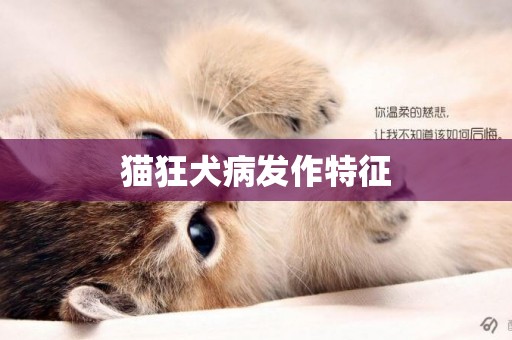 貓狂犬病發作特征