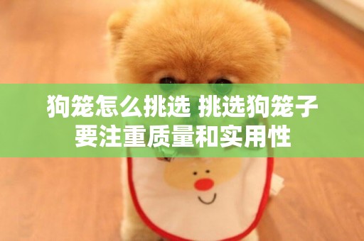 狗籠怎么挑選 挑選狗籠子要注重質量和實用性