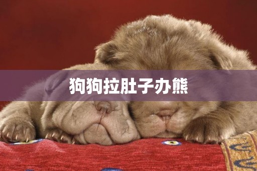 狗狗拉肚子辦熊