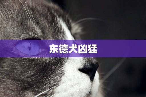 東德犬兇猛
