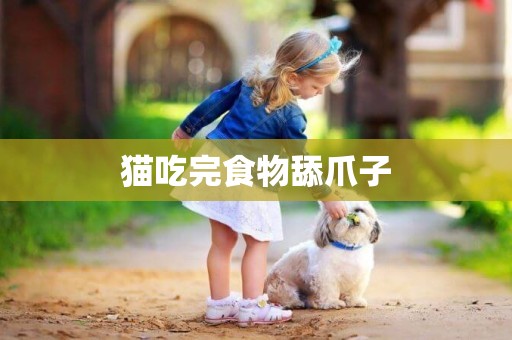 貓吃完食物舔爪子