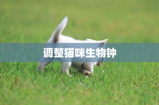調整貓咪生物鐘