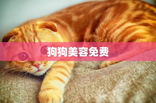 狗狗美容免費