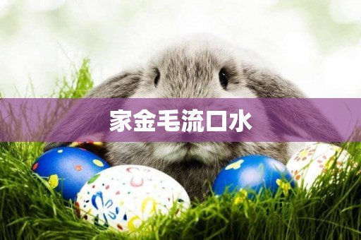家金毛流口水