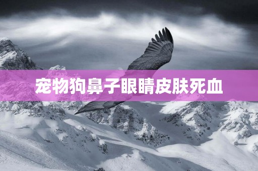 寵物狗鼻子眼睛皮膚死血