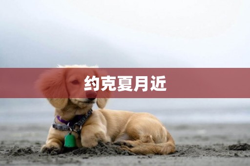 約克夏月近