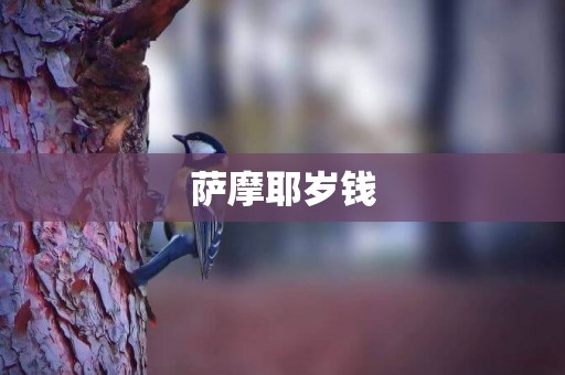 薩摩耶歲錢