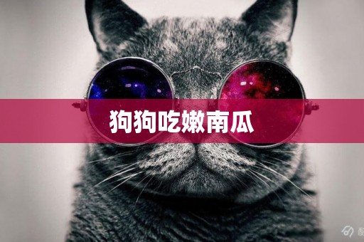 狗狗吃嫩南瓜