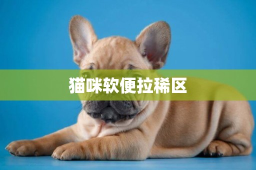 貓咪軟便拉稀區