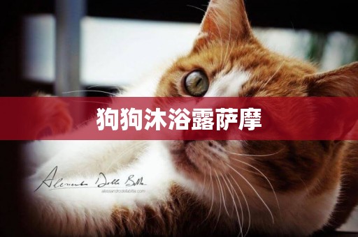 狗狗沐浴露薩摩