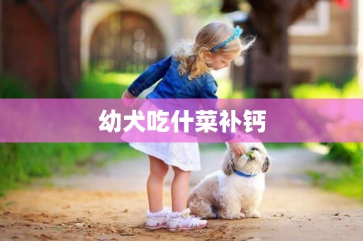 幼犬吃什菜補鈣