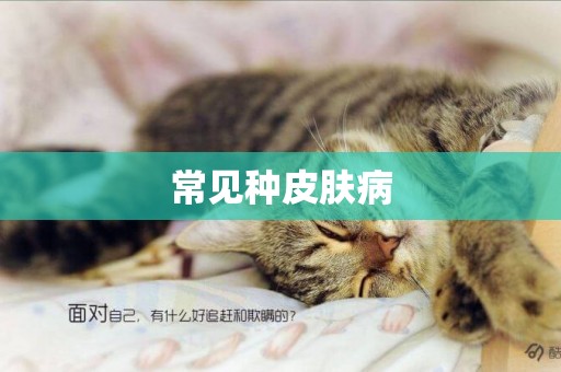 常見種皮膚病