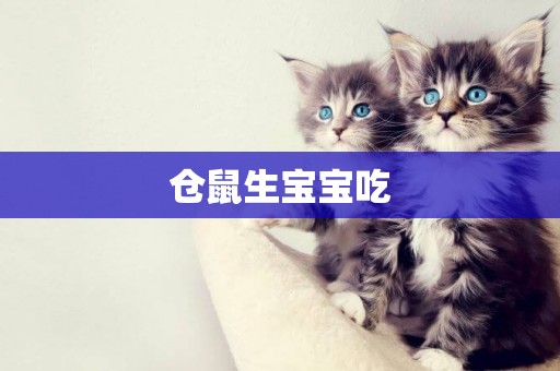 倉鼠生寶寶吃