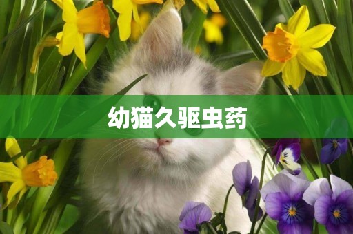 幼貓久驅蟲藥