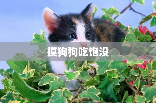 摸狗狗吃飽沒