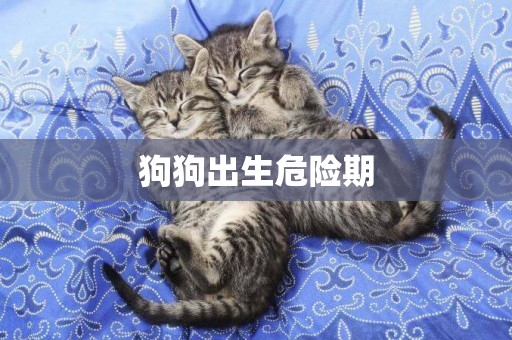狗狗出生危險期