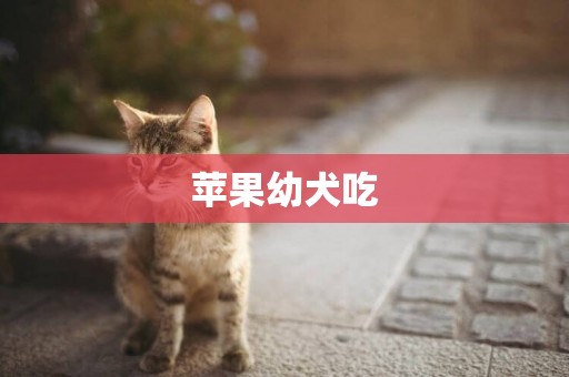 蘋果幼犬吃
