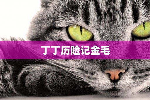 丁丁歷險記金毛