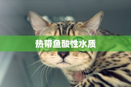 熱帶魚酸性水質