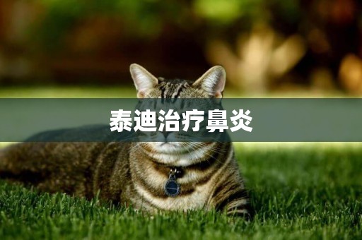 泰迪治療鼻炎
