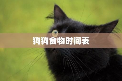 狗狗食物時間表