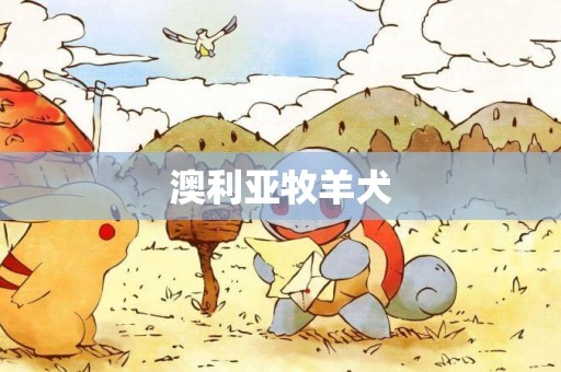 澳利亞牧羊犬