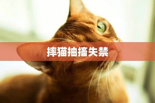 摔貓抽搐失禁