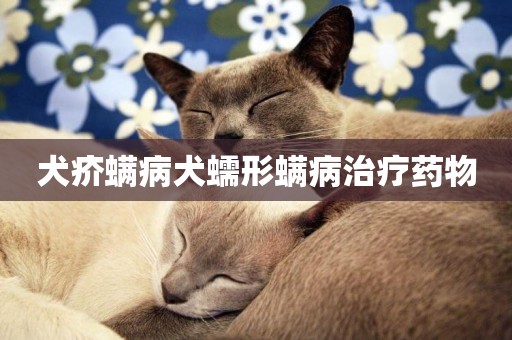犬疥螨病犬蠕形螨病治療藥物