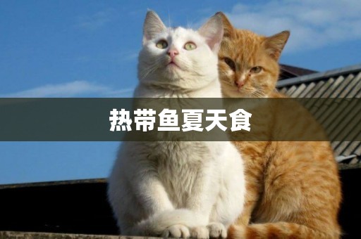 熱帶魚夏天食