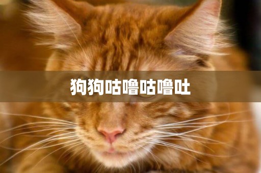 狗狗咕嚕咕嚕吐