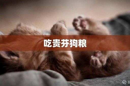吃貴芬狗糧