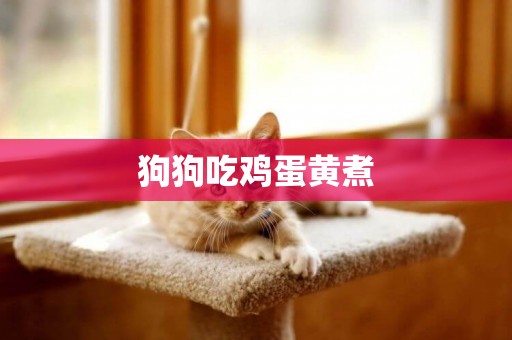 狗狗吃雞蛋黃煮
