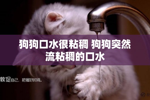 狗狗口水很粘稠 狗狗突然流粘稠的口水