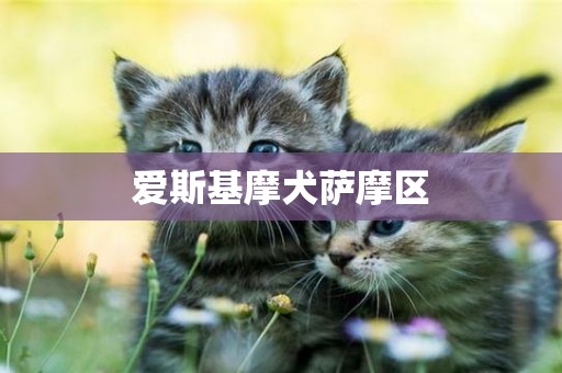 愛斯基摩犬薩摩區