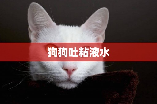 狗狗吐粘液水