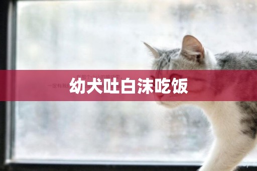 幼犬吐白沫吃飯