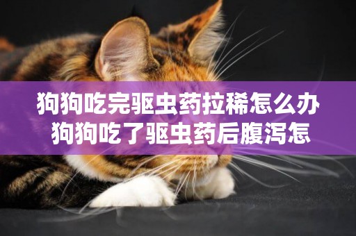 狗狗吃完驅蟲藥拉稀怎么辦 狗狗吃了驅蟲藥后腹瀉怎么回事