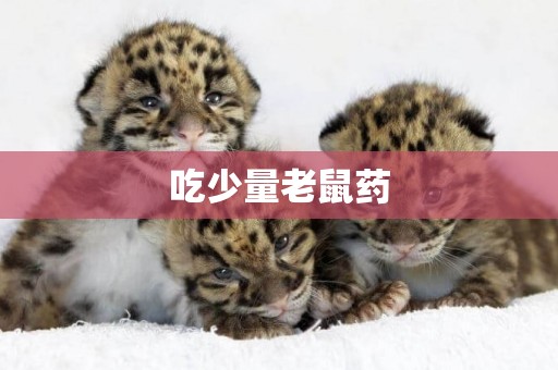 吃少量老鼠藥