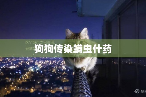 狗狗傳染螨蟲什藥