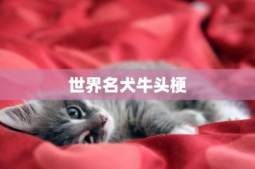 世界名犬牛頭梗
