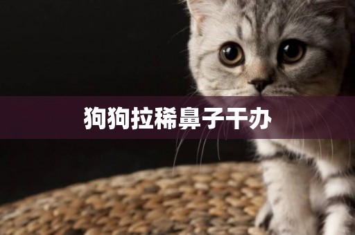 狗狗拉稀鼻子干辦