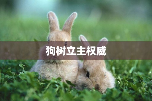 狗樹立主權威