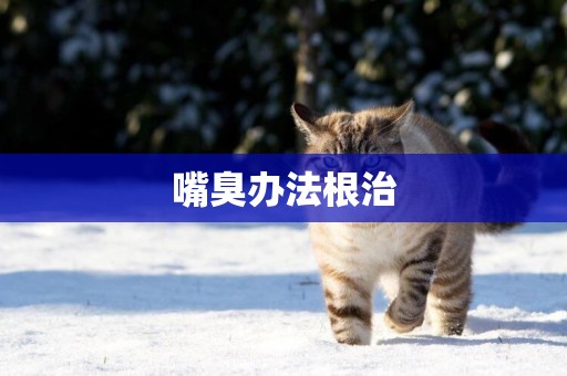 嘴臭辦法根治
