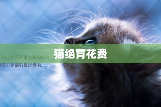 貓絕育花費